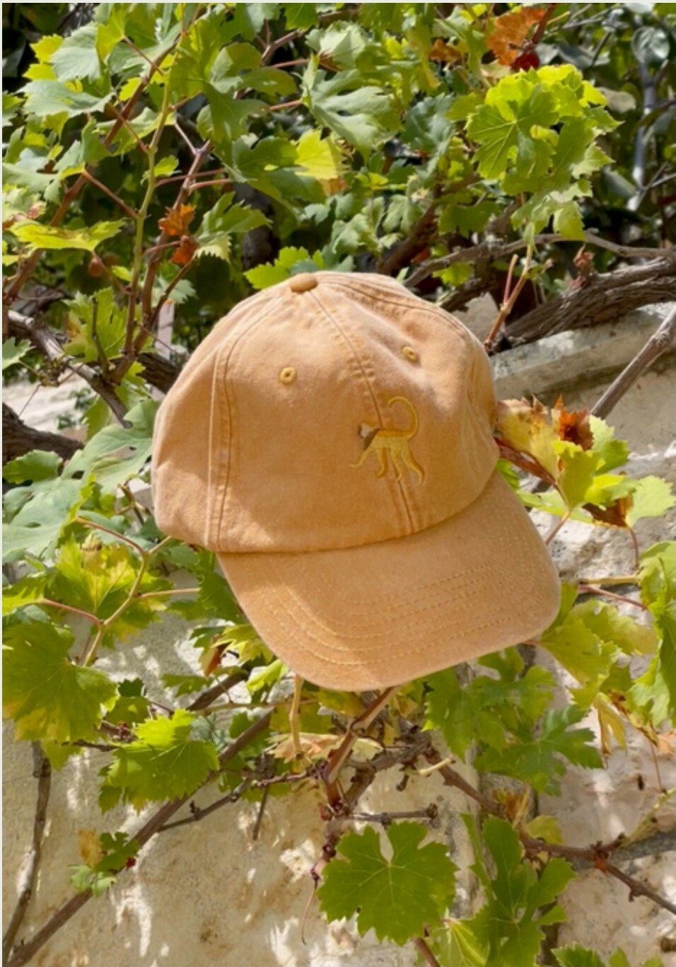 Mustard cap